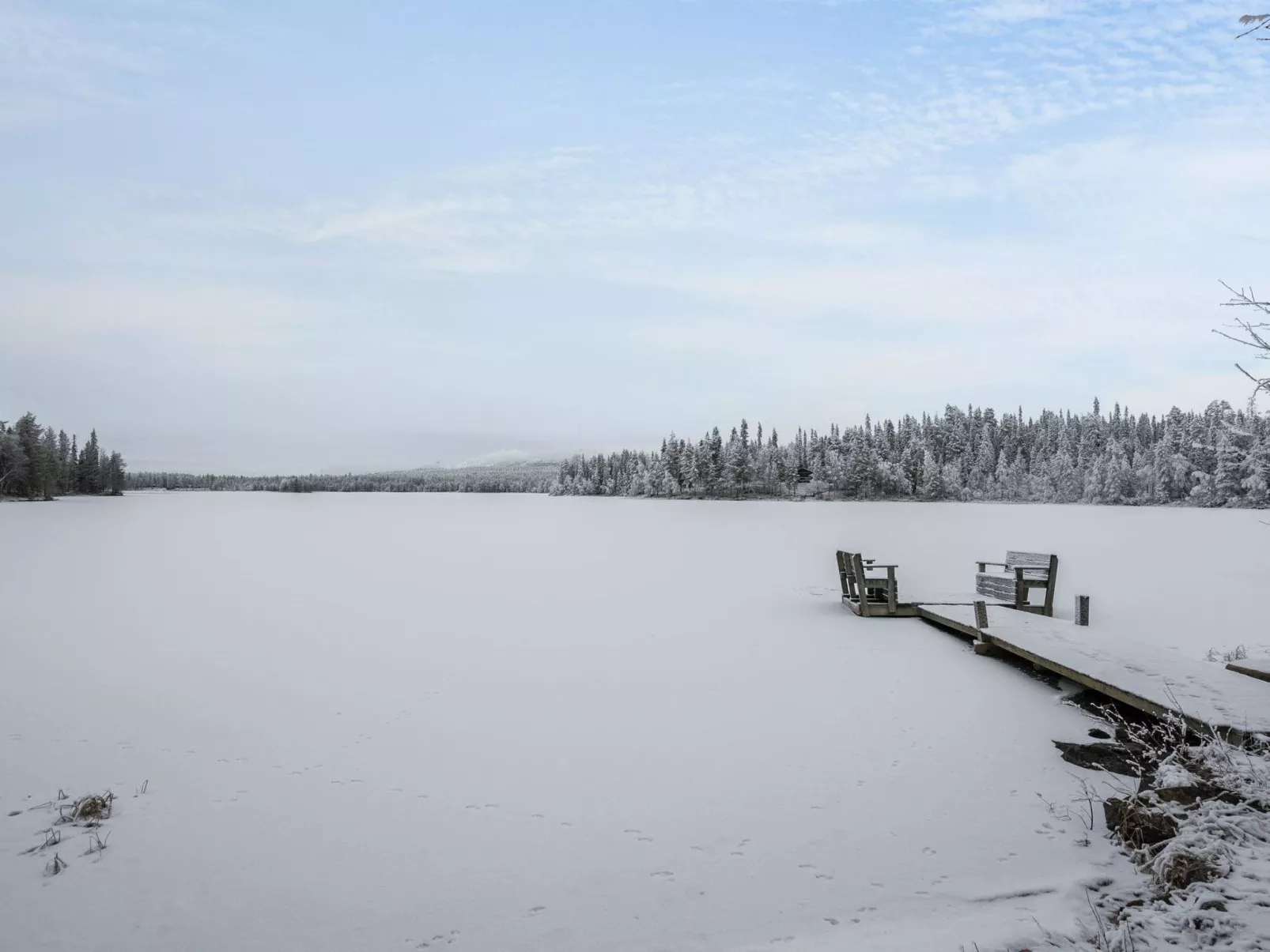 Kantolan veska-Dedans