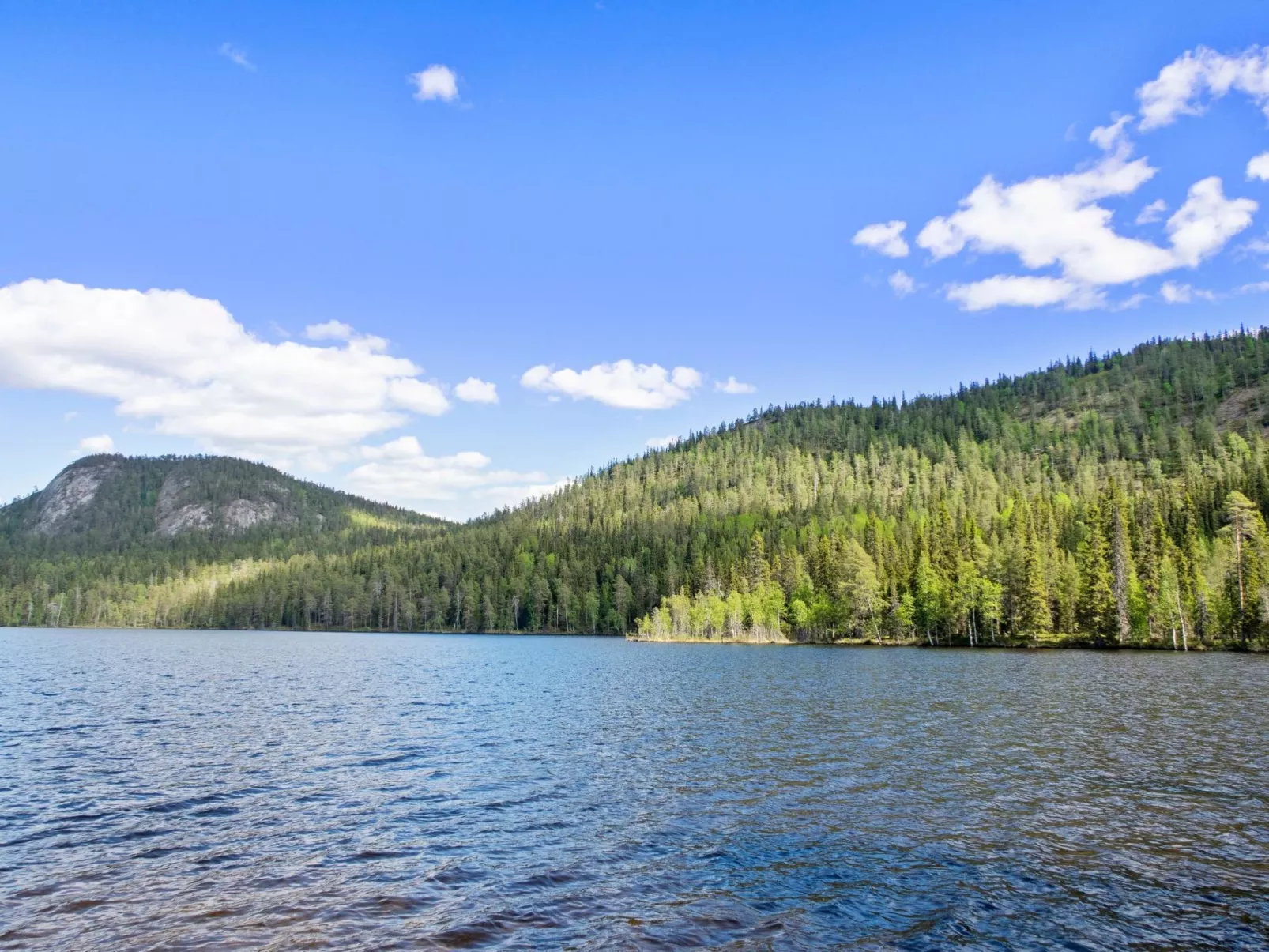 Pöllölaakso-Dedans