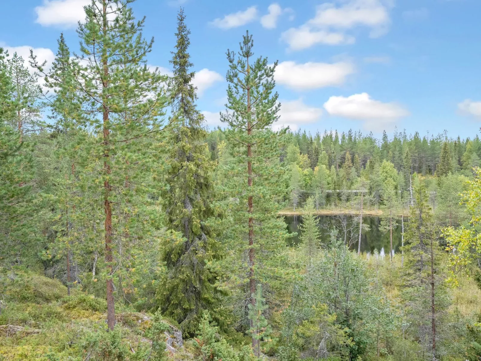 Rukan impivaara-Dedans