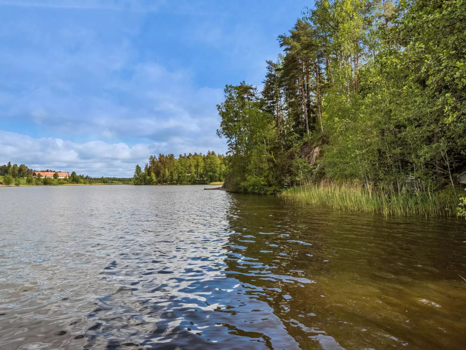 Artturin mökki-Dedans