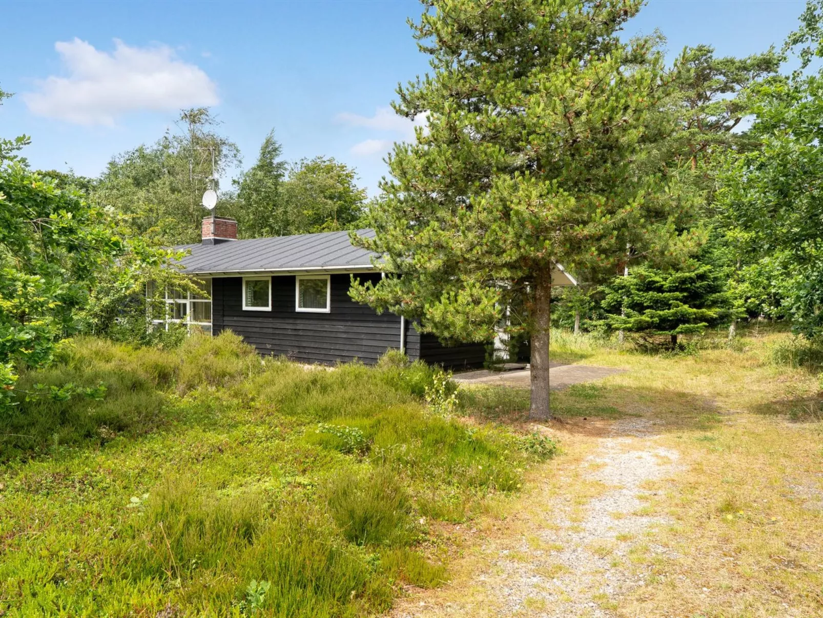 "Ivar" -  from the sea-Draußen