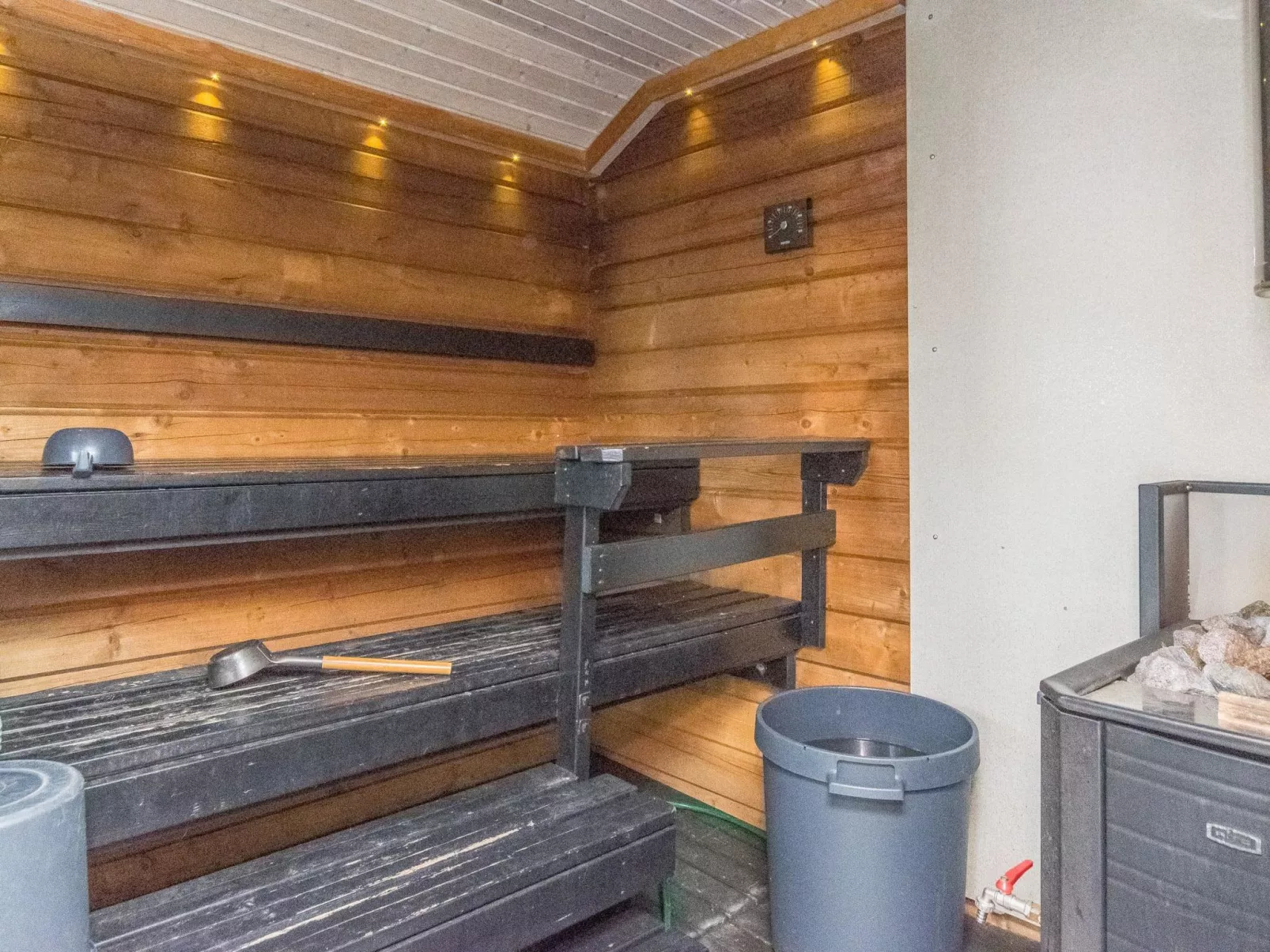 Tervapääsky-Drinnen