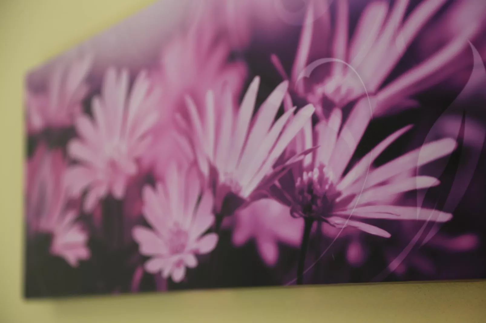 Ferienwohnung Freital - Dresden-Ambiente