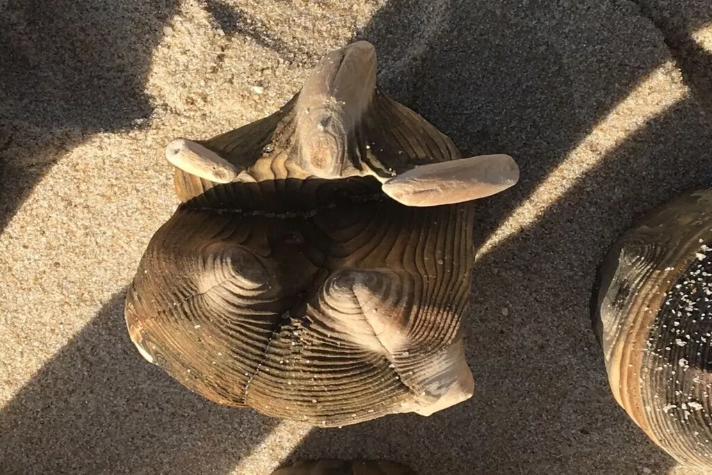 283745-Nicht zugeordnet