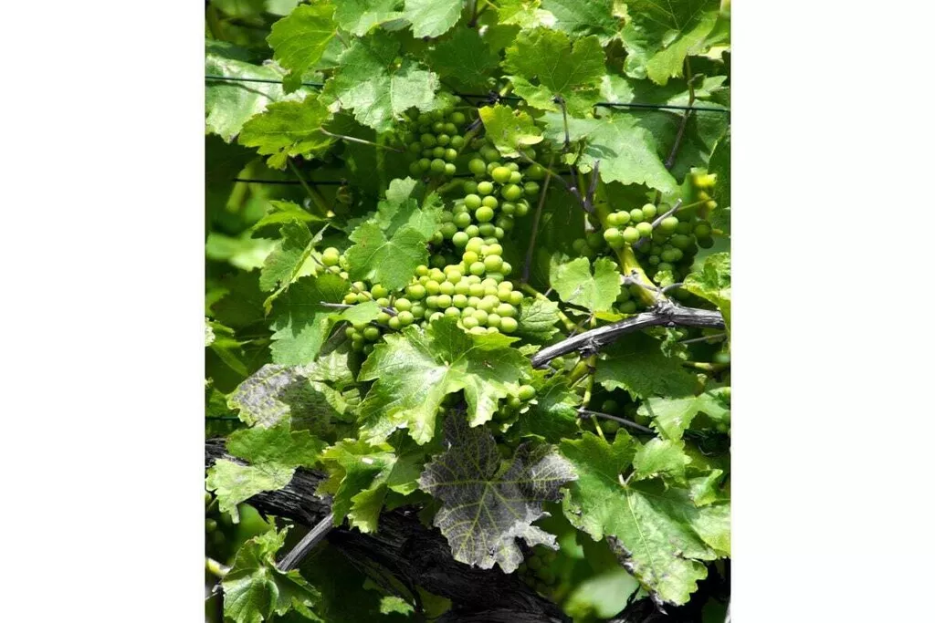 187298-Nicht zugeordnet