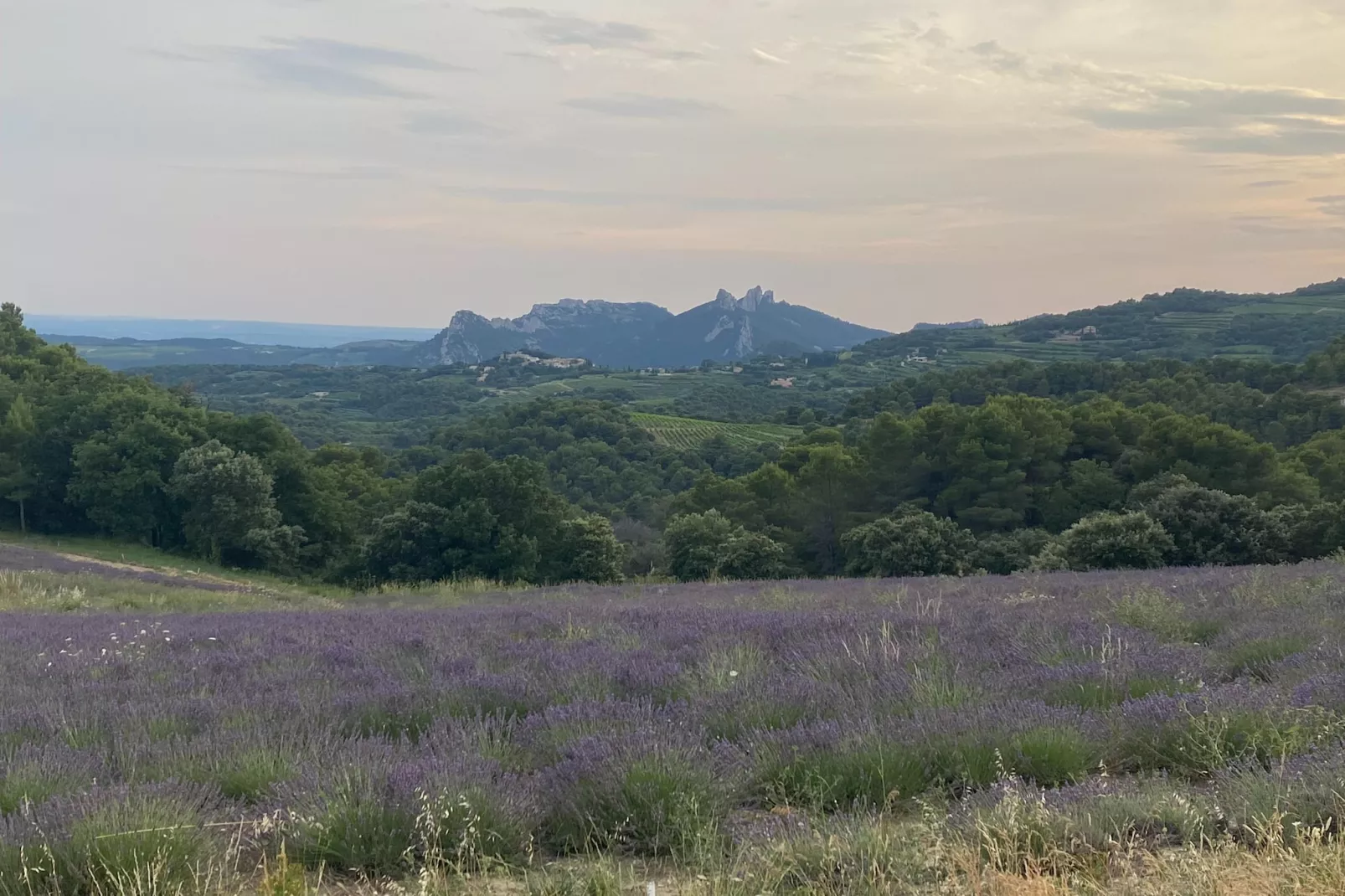 Le Mas d'à côté-Gebiete Sommer 1 km
