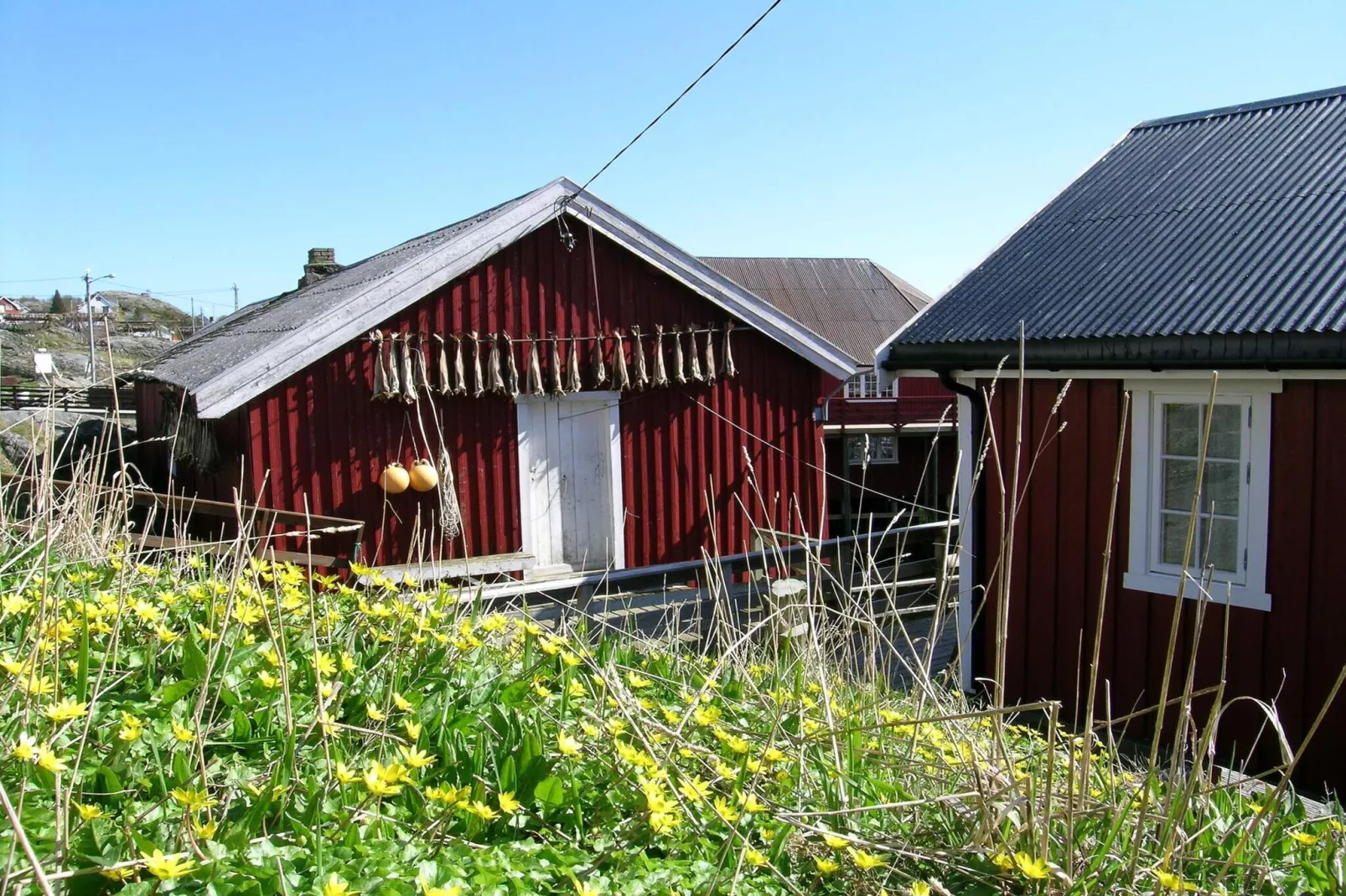 Maison de vacances pour 8 a Mølnarodden-Non tagué