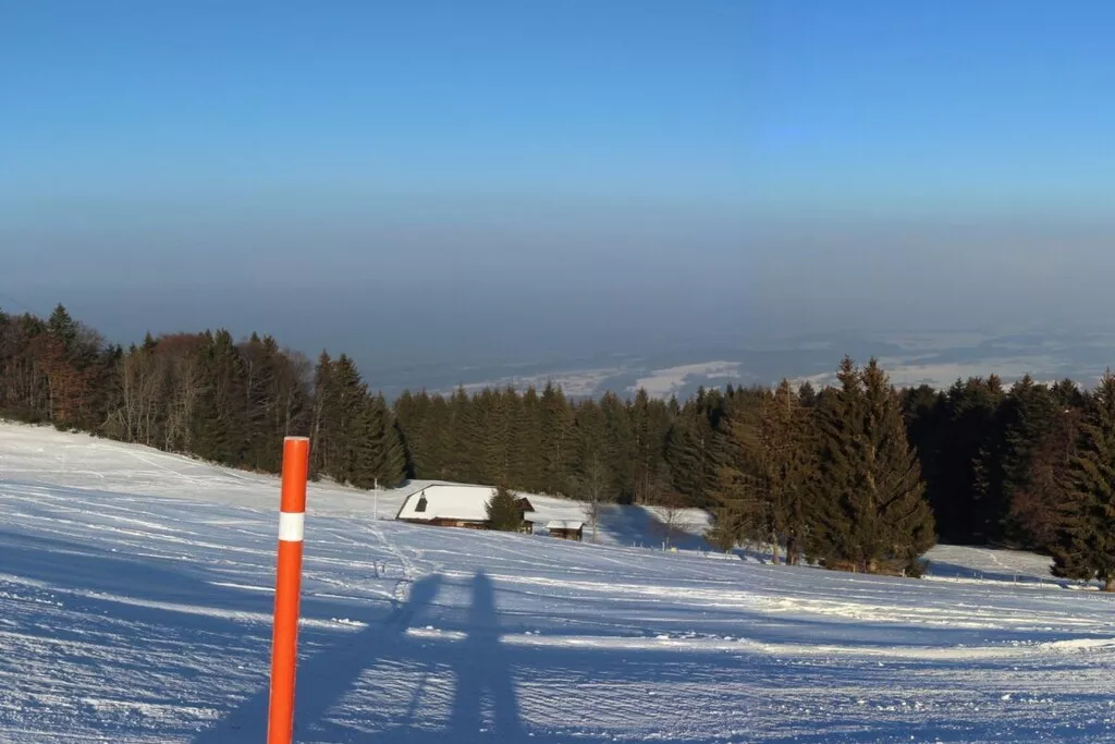 37316-Nicht zugeordnet