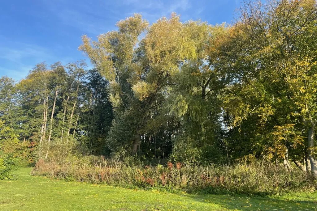 581116-Nicht zugeordnet