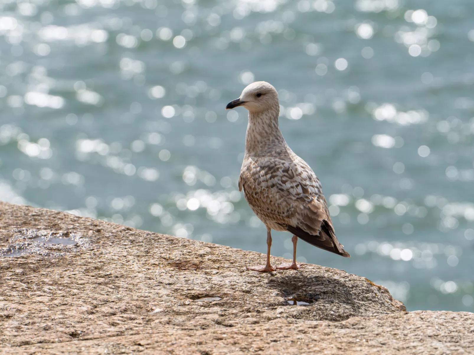 The Hideaway-Outside