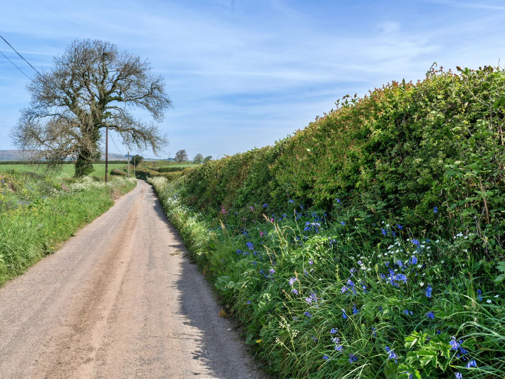 Cutkieve Farm Cottage-Dehors