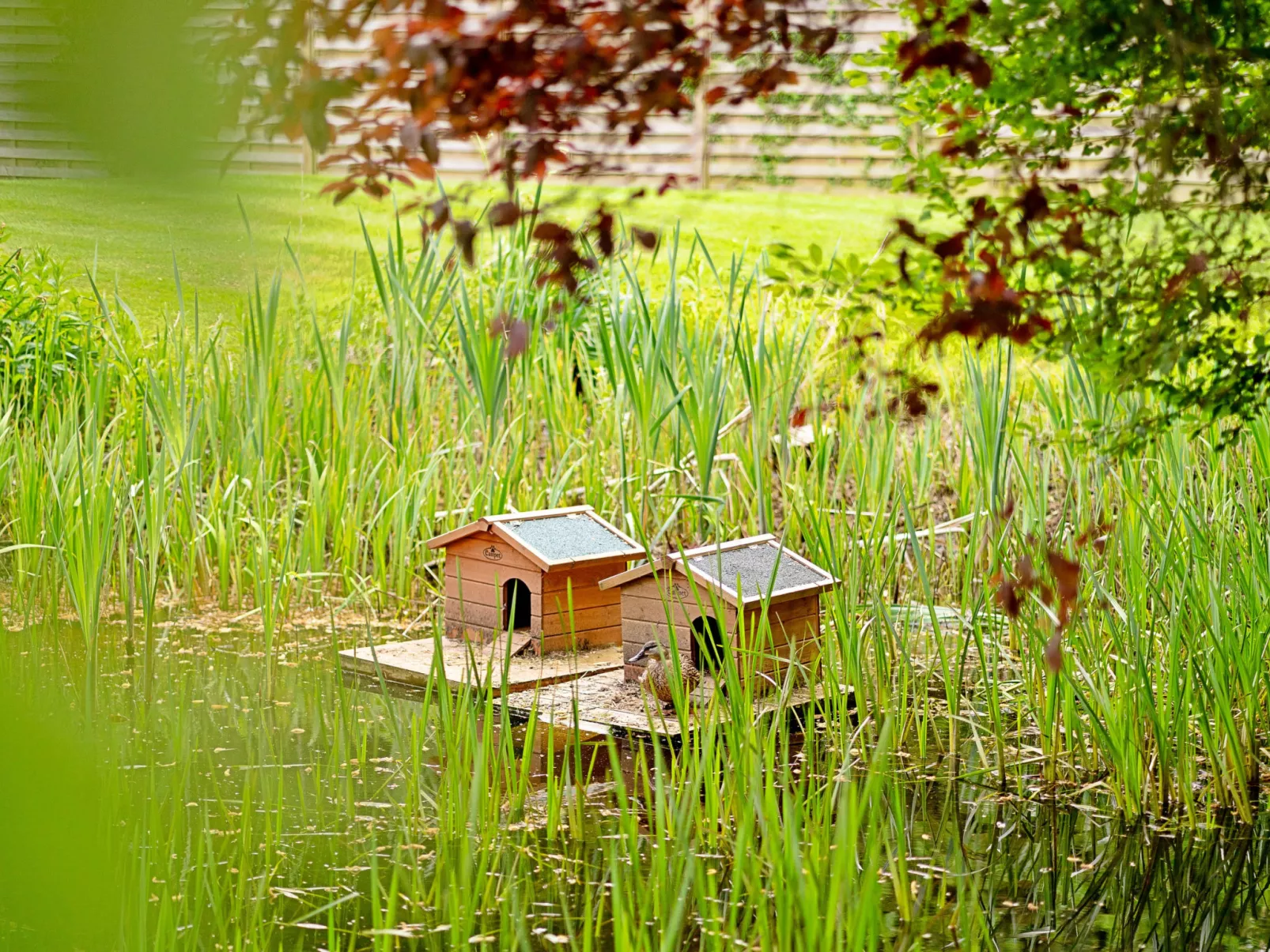 The Old Rectory-Dehors