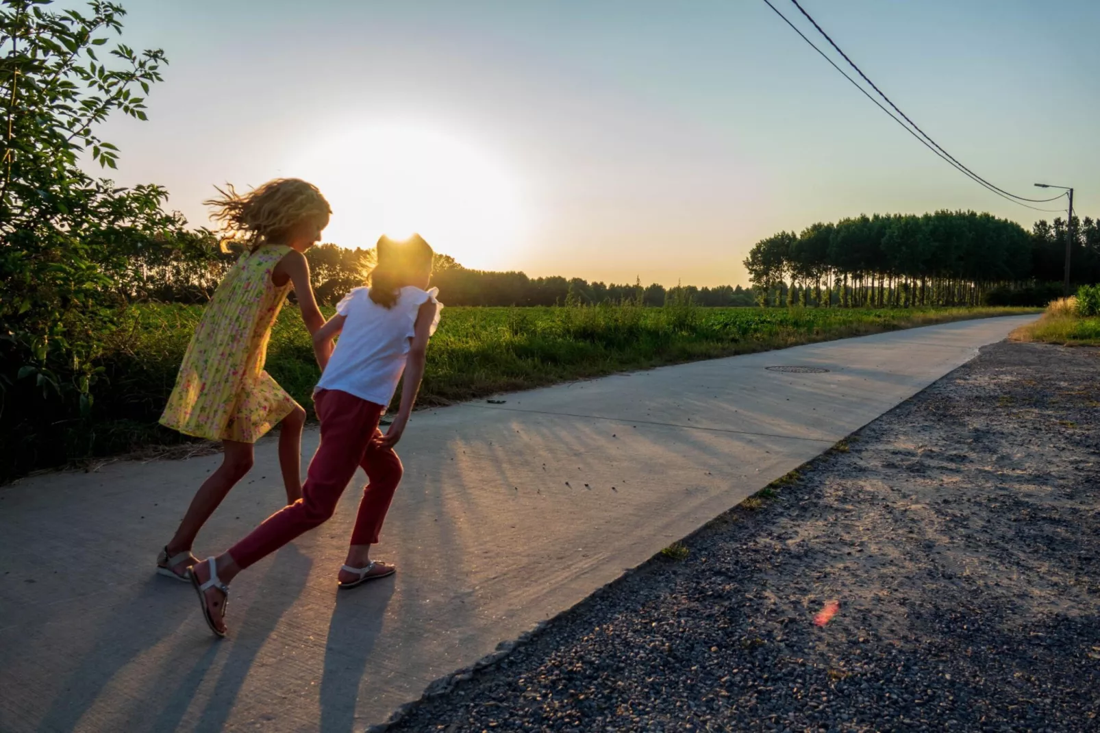 Karper studio-Gebiete Sommer 1 km