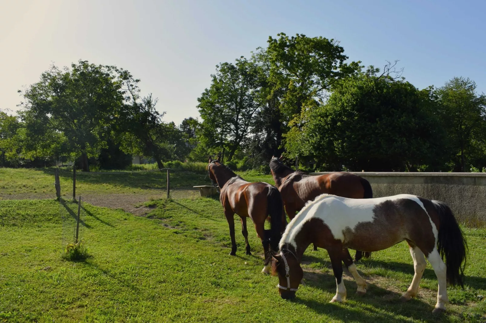 Zevnik Quiet Retreat with Stunning Views and Equestrian Activities - Family Room with Private Bathroom 8-Outdoor