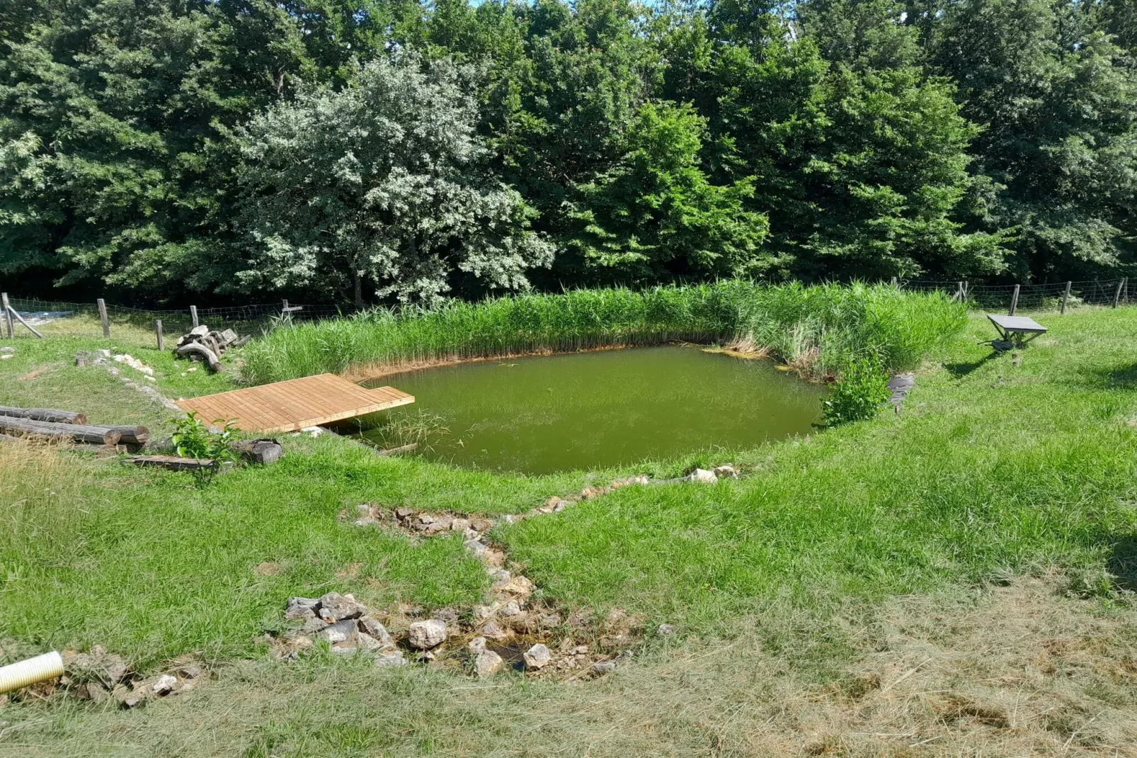 Hidden Authentic Haven Apartments - Two Bedroom Apartment with Balcony-Outdoor