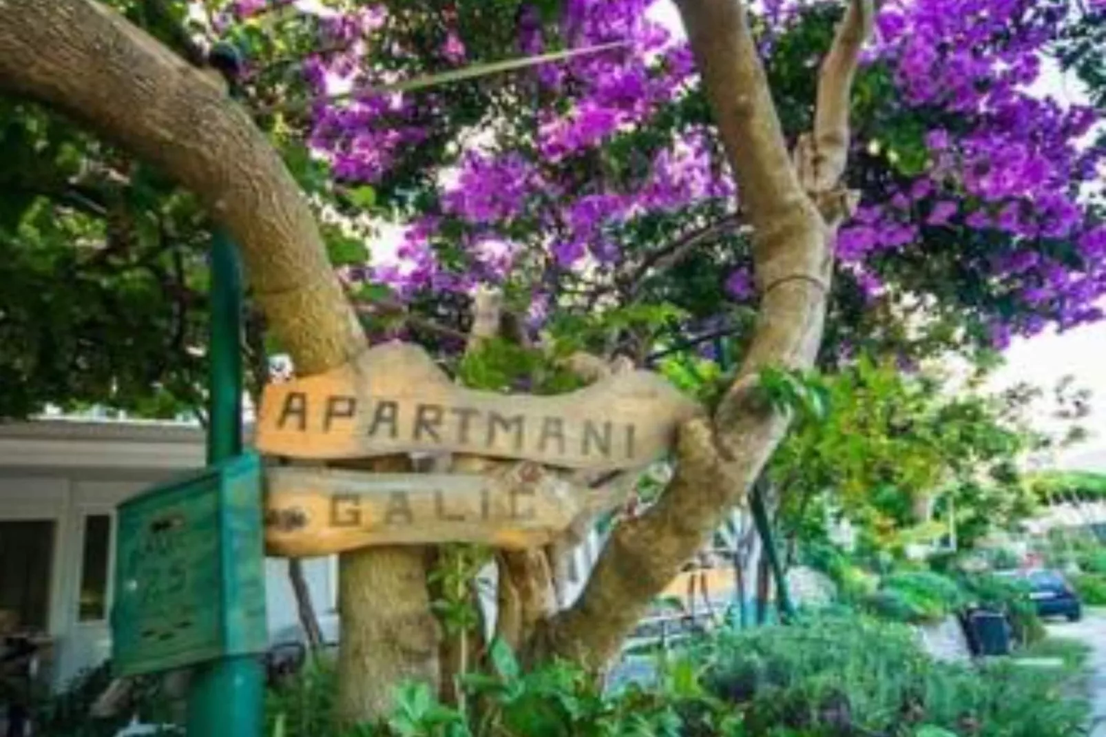 One-Bedroom Apartment With Lake View-Im Freien