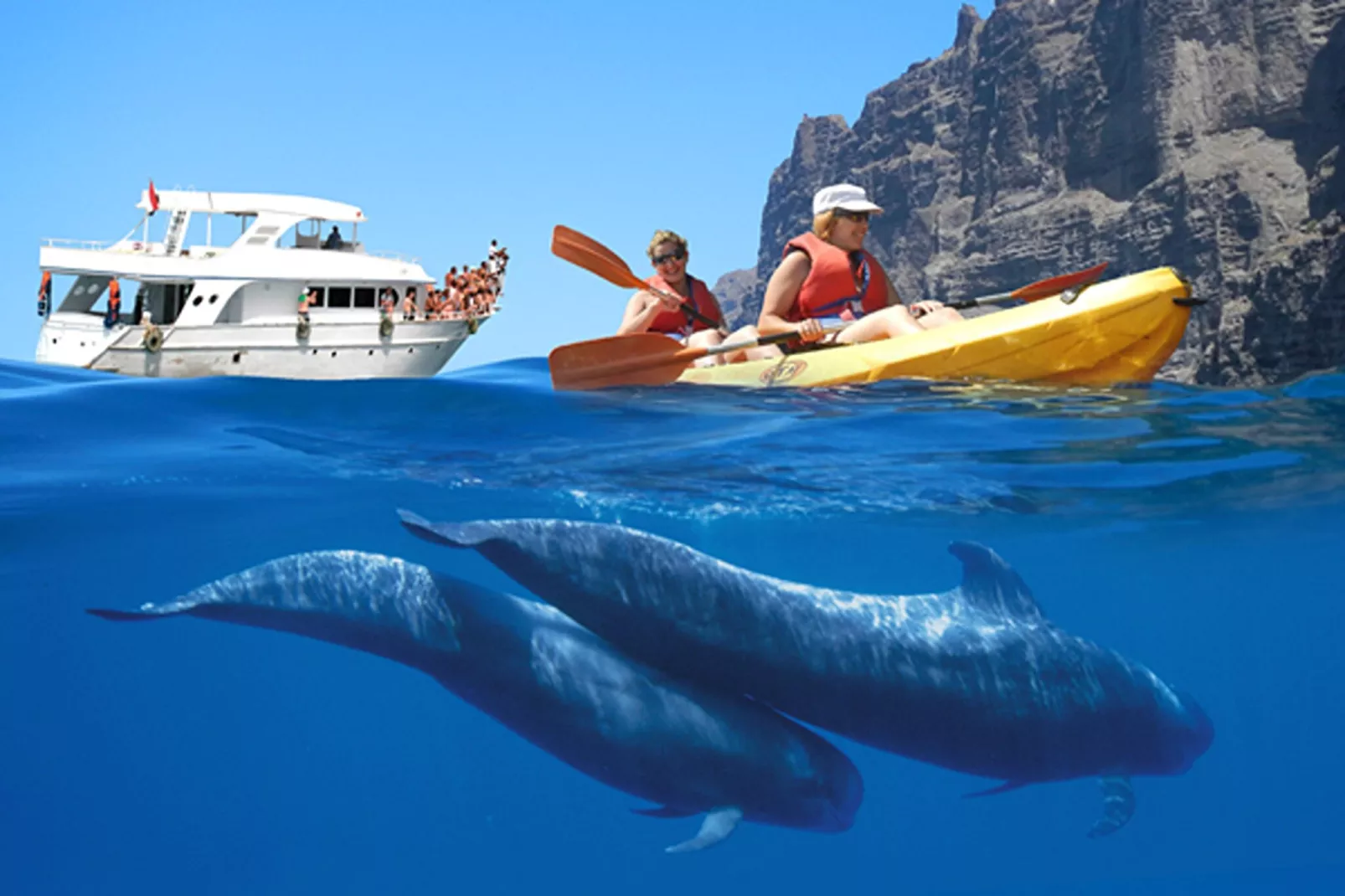 Delfin 101B 1d-Gebiete Sommer 5 km