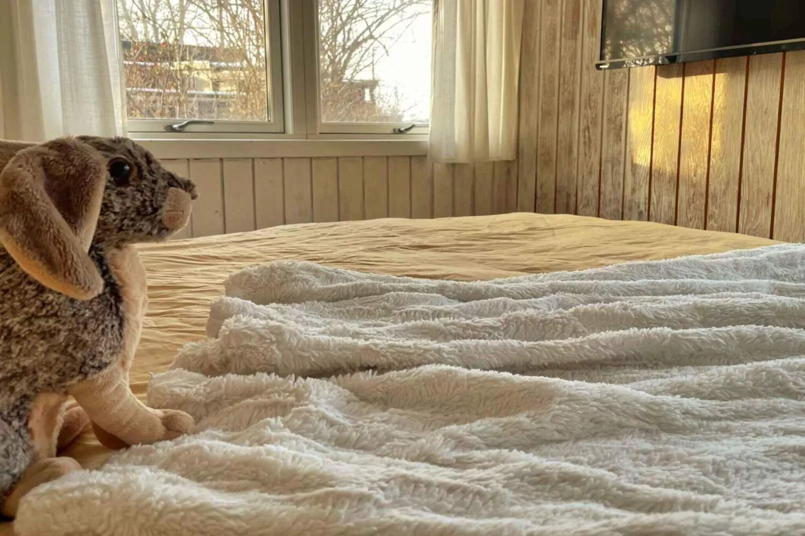 5 etoiles maison de vacances a Grevinge-Intérieur