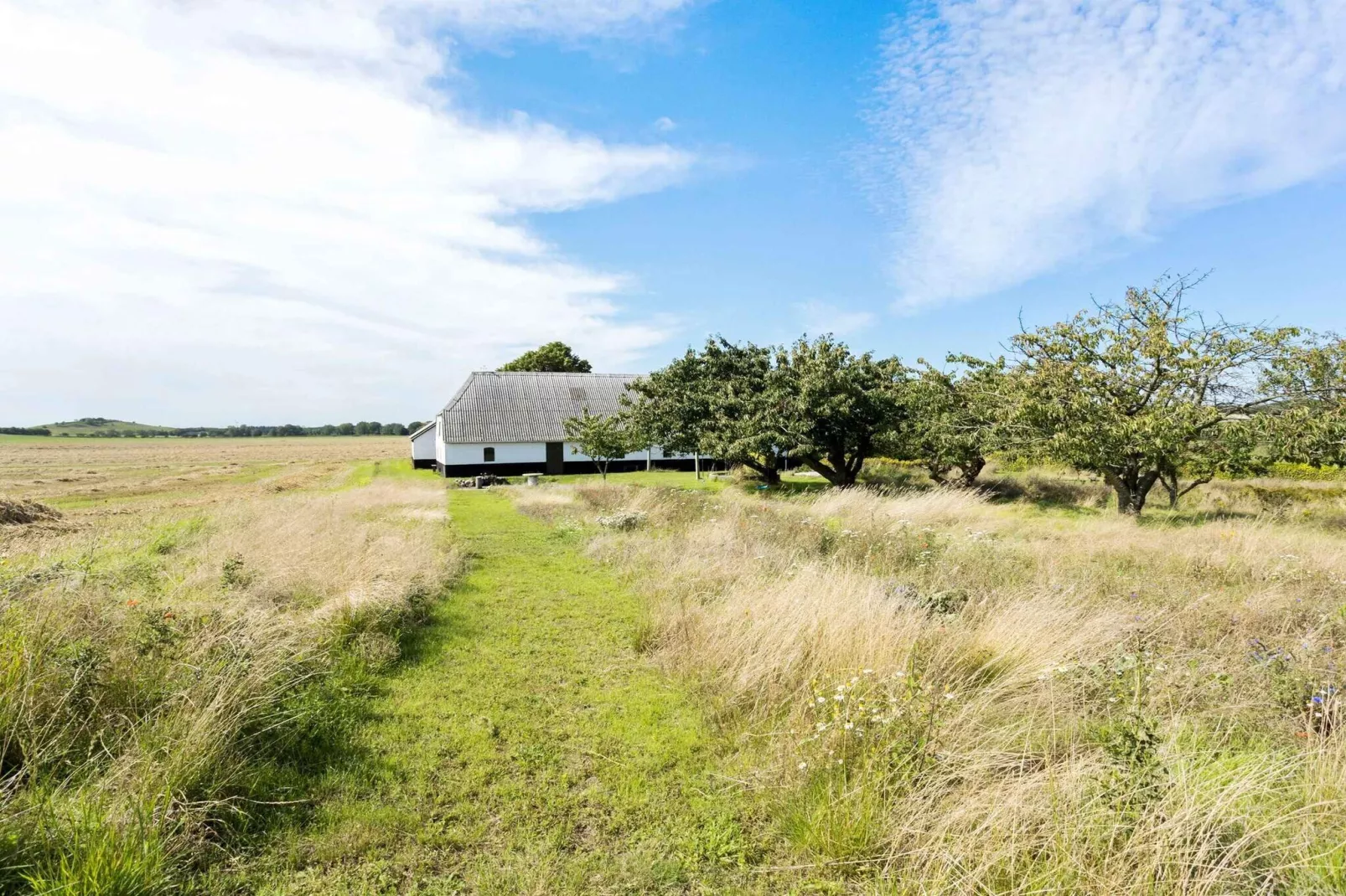 5 Sterne Ferienhaus in Bagenkop-Aussicht