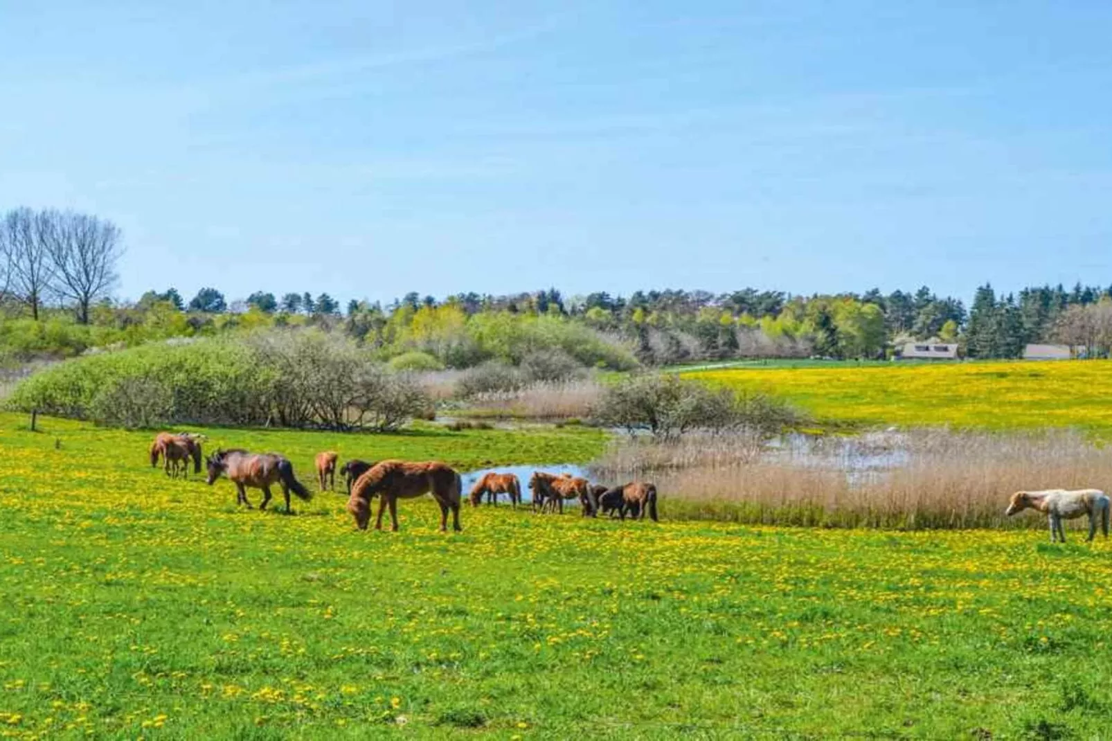 5 star holiday home in Nykøbing Sj