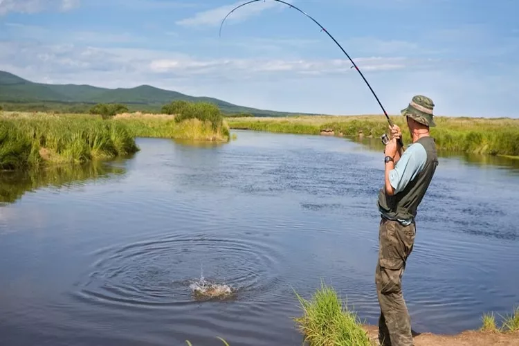 Dom wakacyjny w Oświnie-Zones été à 1 km