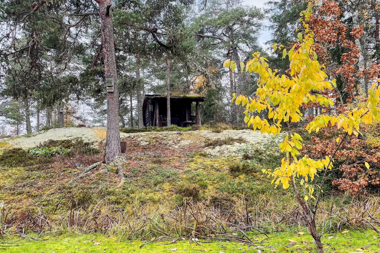 Cozy Forest Hideaway with Hot Tub-Outdoor