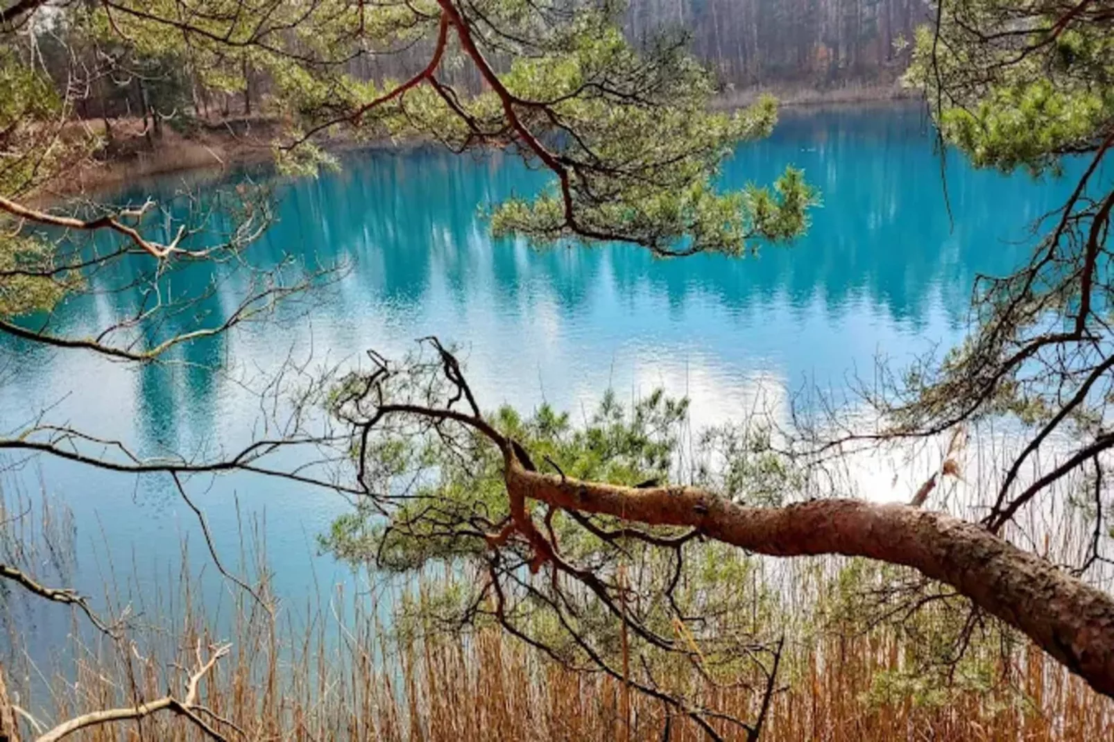 Hausboot am Bärwalder See-Zones été à 1 km