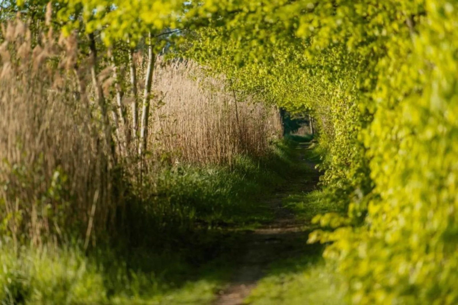 Hausboot in Zehdenick-Zones été à 20 km