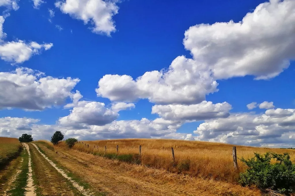 340916-Nicht zugeordnet