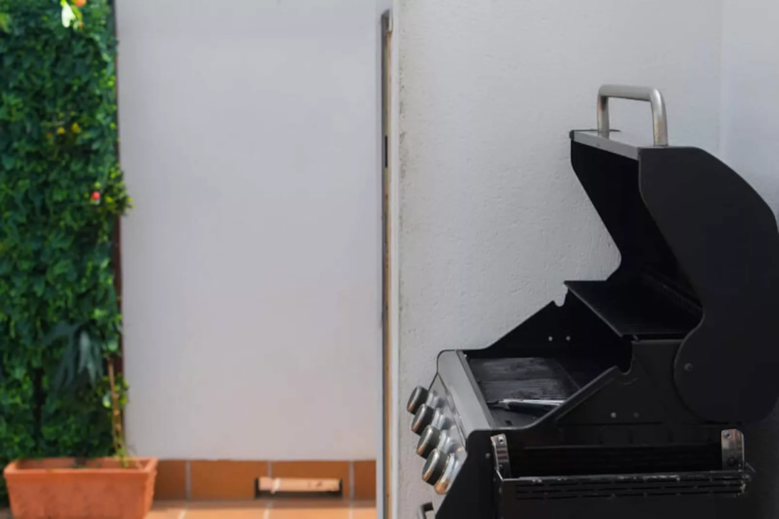 Appartements à Roses-Nicht zugeordnet