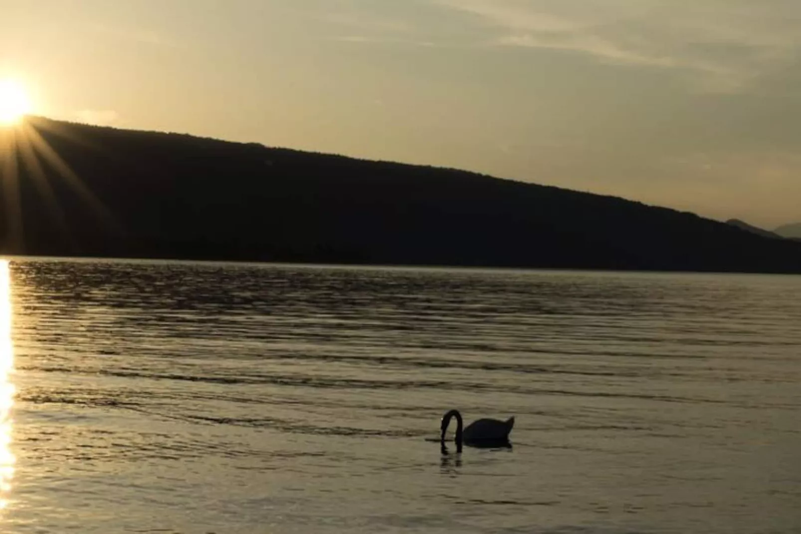 Appartements à Duingt-Untagged