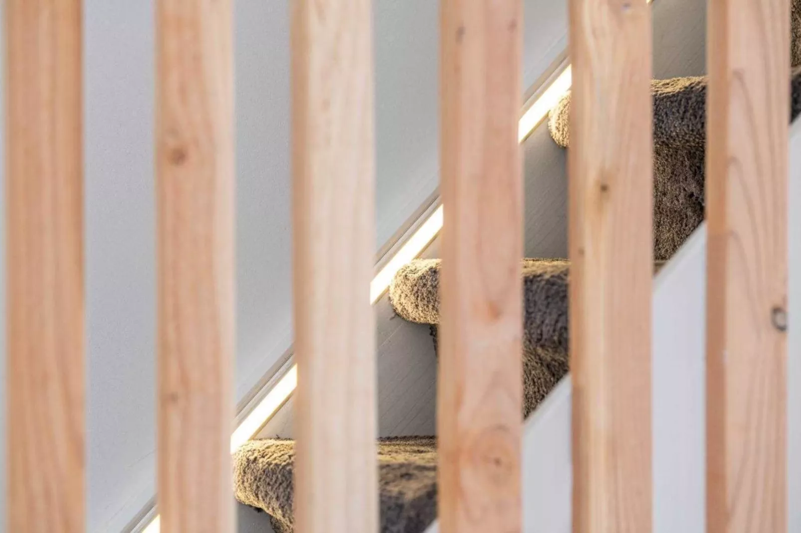 LL-13-ROSOLIEL-Untagged