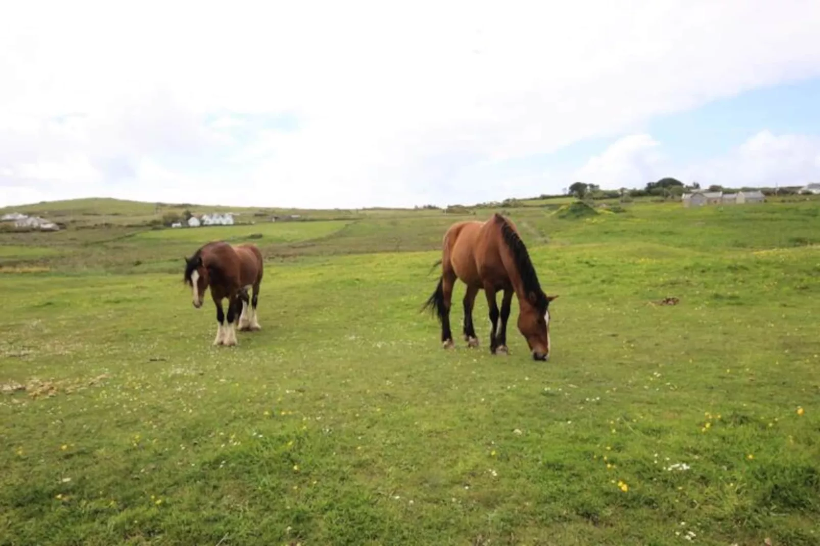Maison à Cleggan Galway-Untagged
