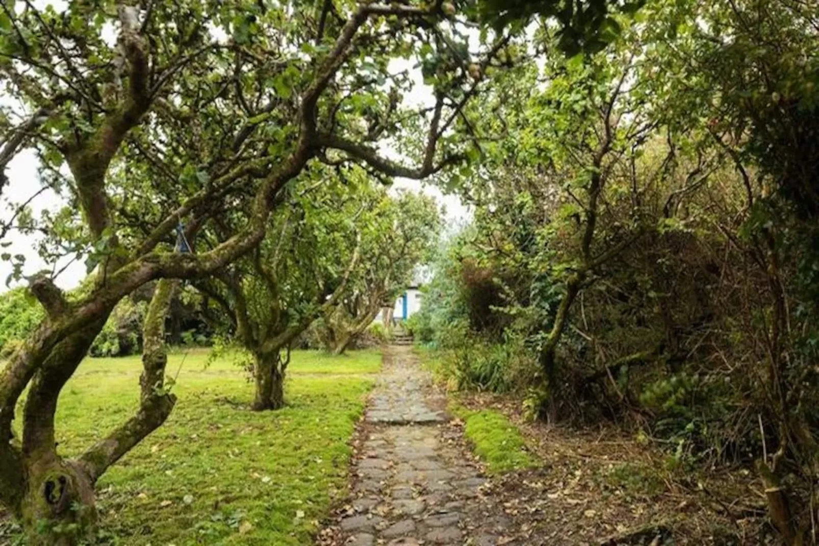 Maison à Ballyconneely Galway-Untagged