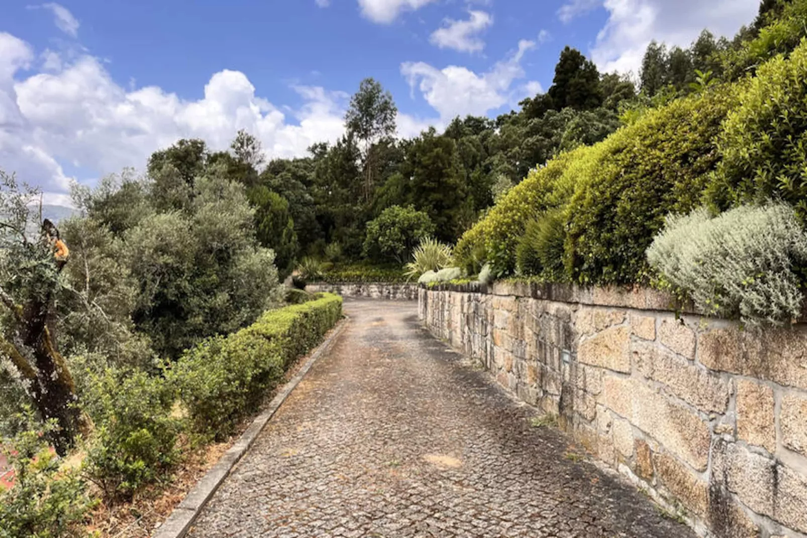 Maison à Cabeceiras de Basto-Untagged