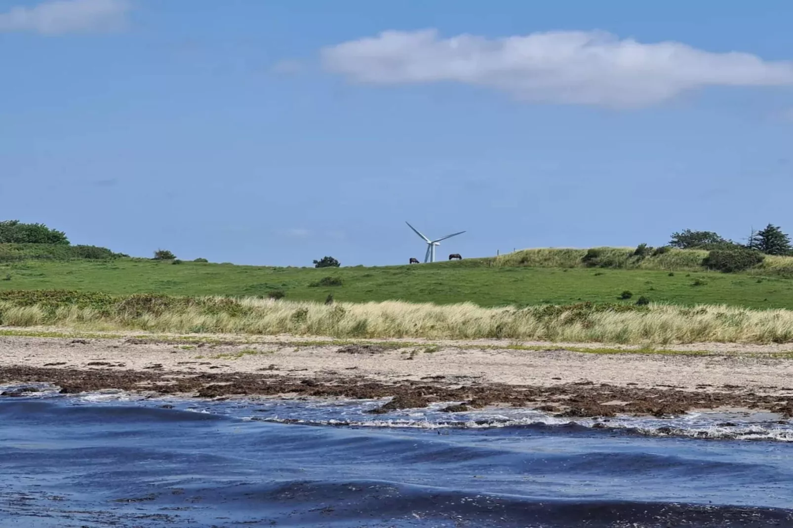 Family cottage for eight guests - Water view