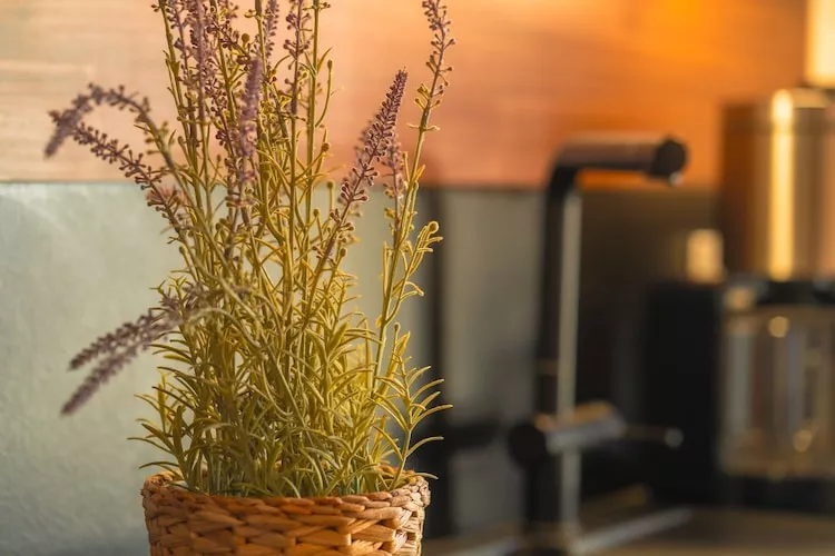 Poolhaus 140 qm-Ambiance