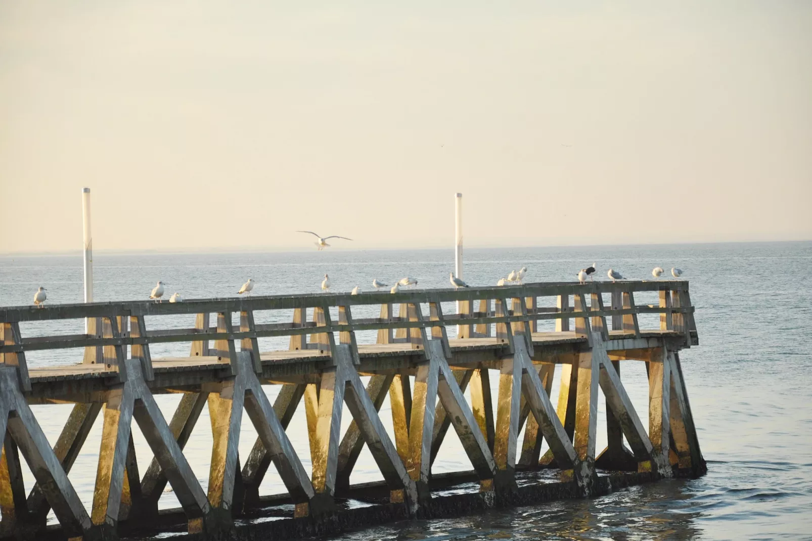 Gite Le Jonquet-Areas within 5km in summer