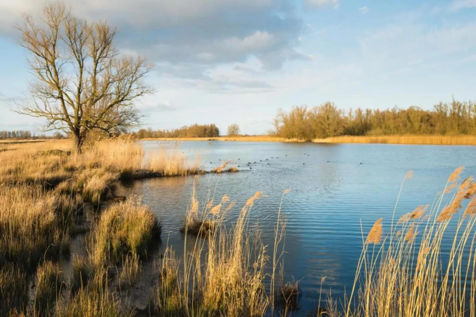 Vakantiepark Molenvelden 6-Zones été à 20 km