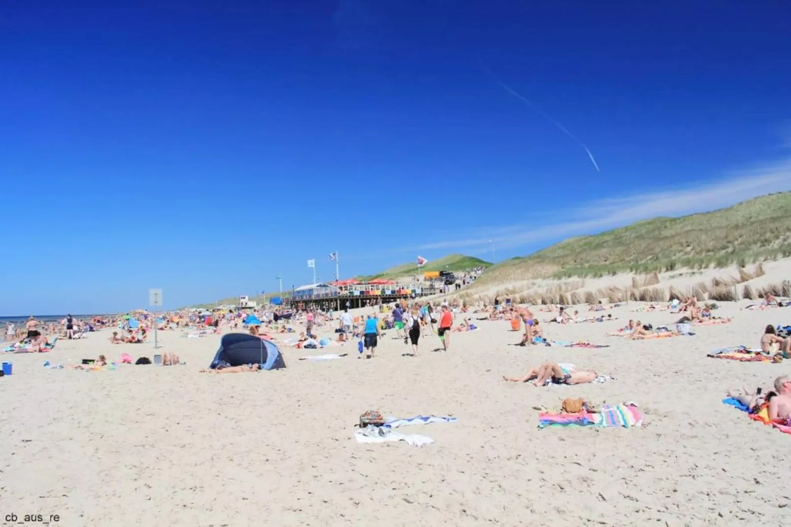 De Biotoop-Areas within 5km in summer