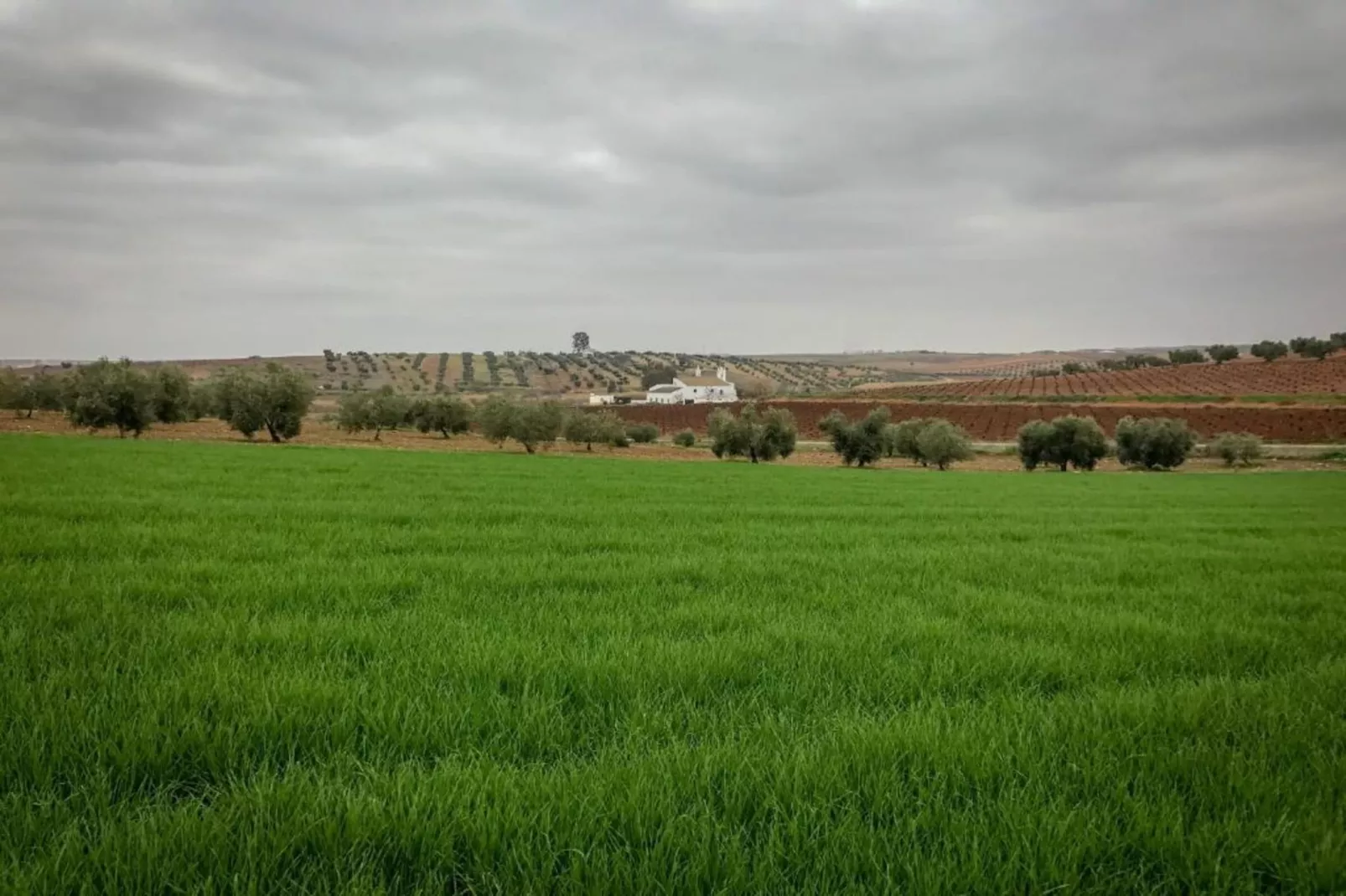 Villapark Ehzerburg 2-Areas within 20km in summer