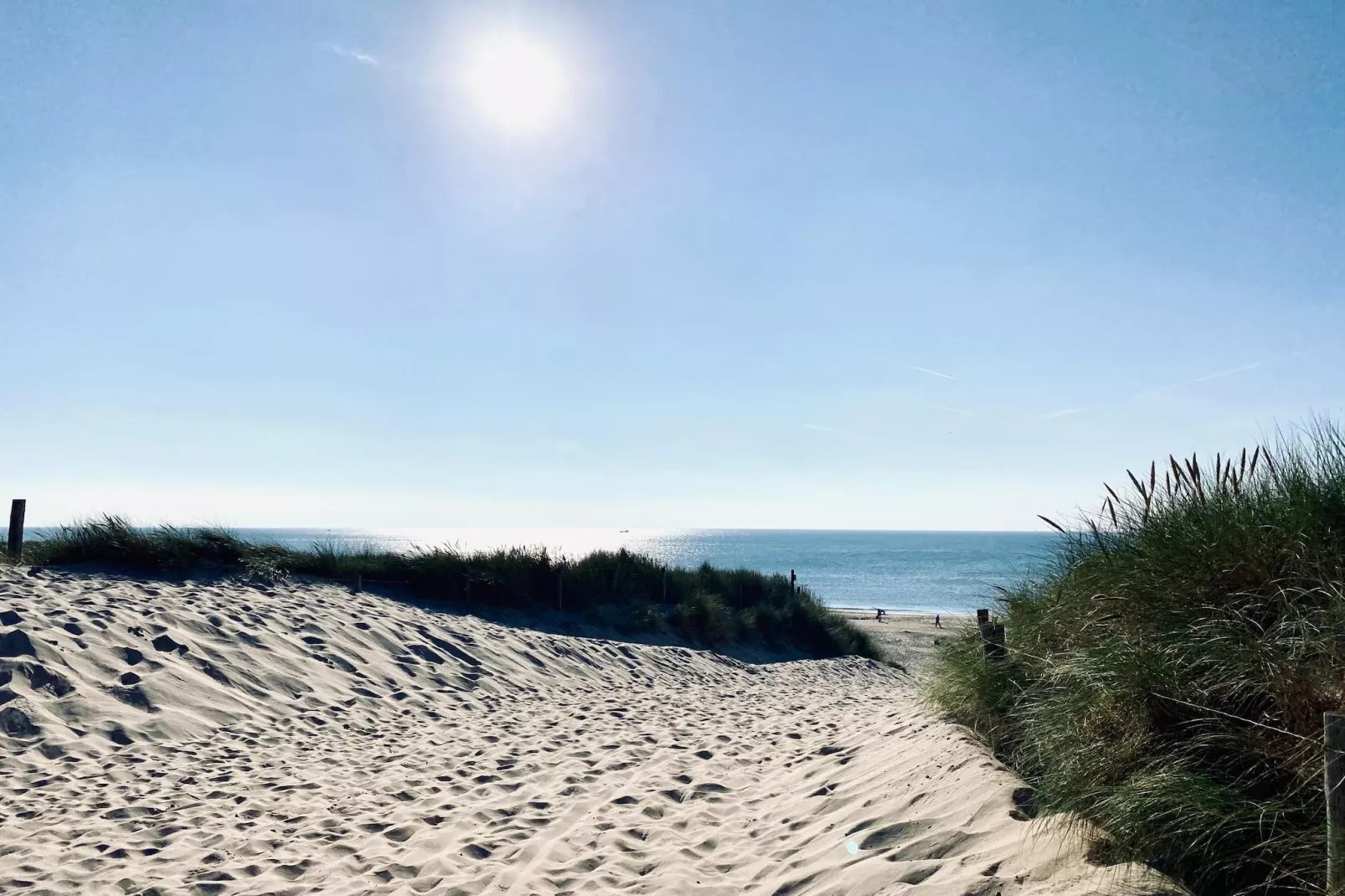 INFINITY-Areas within 5km in summer