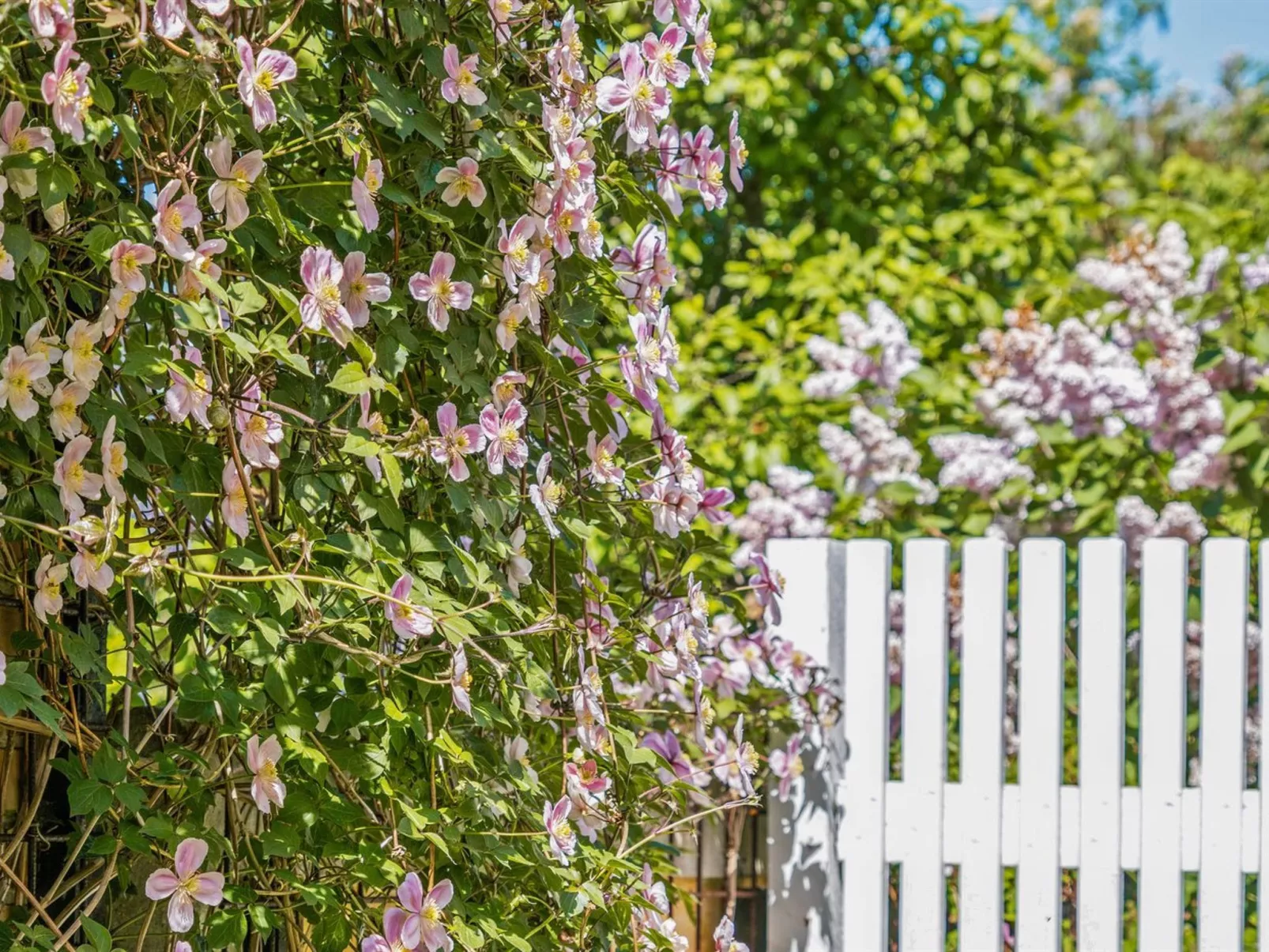 "Sölve" - 900m from the sea-Draußen