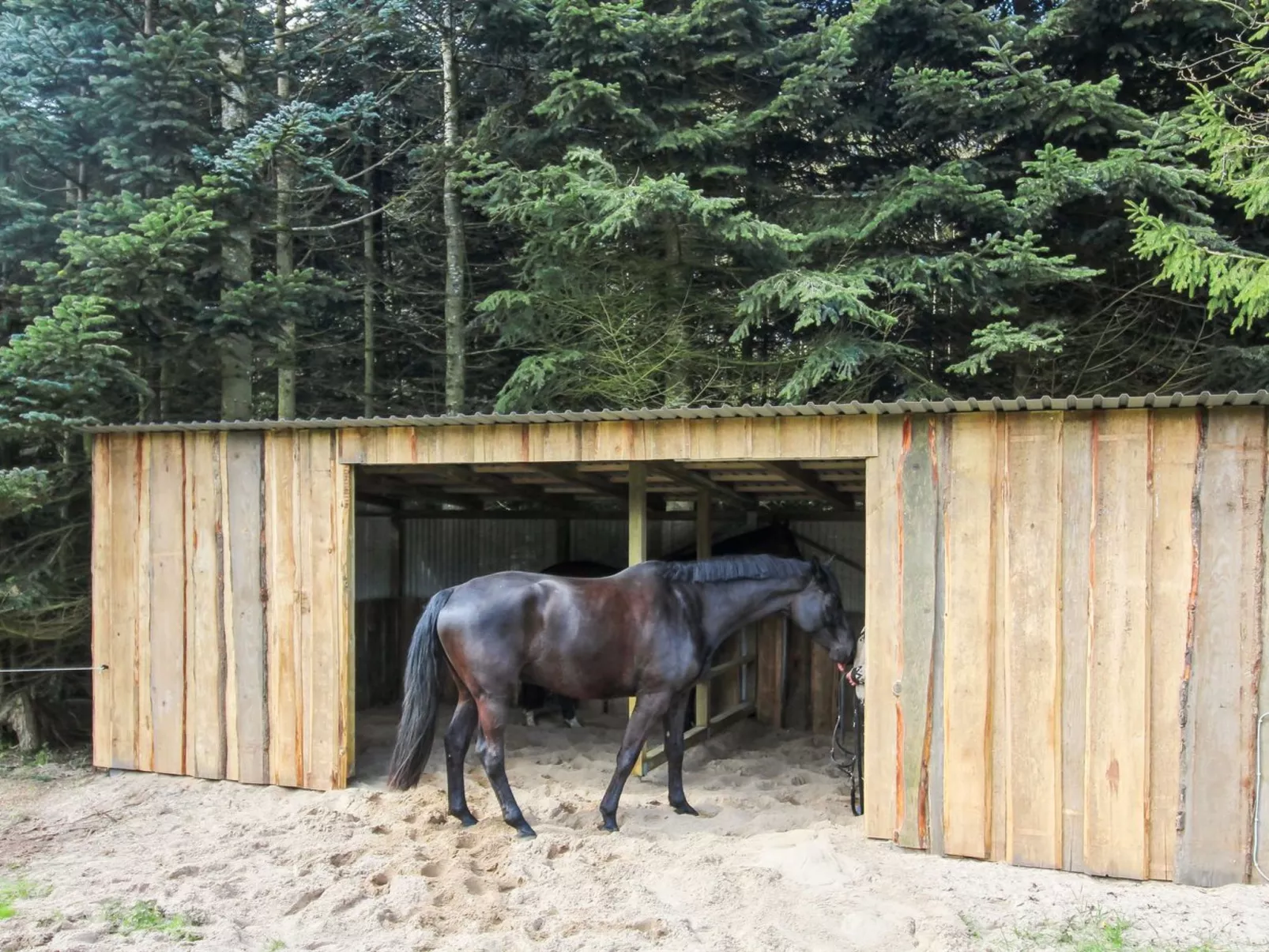 "Thana" - 8km from the sea-Dehors