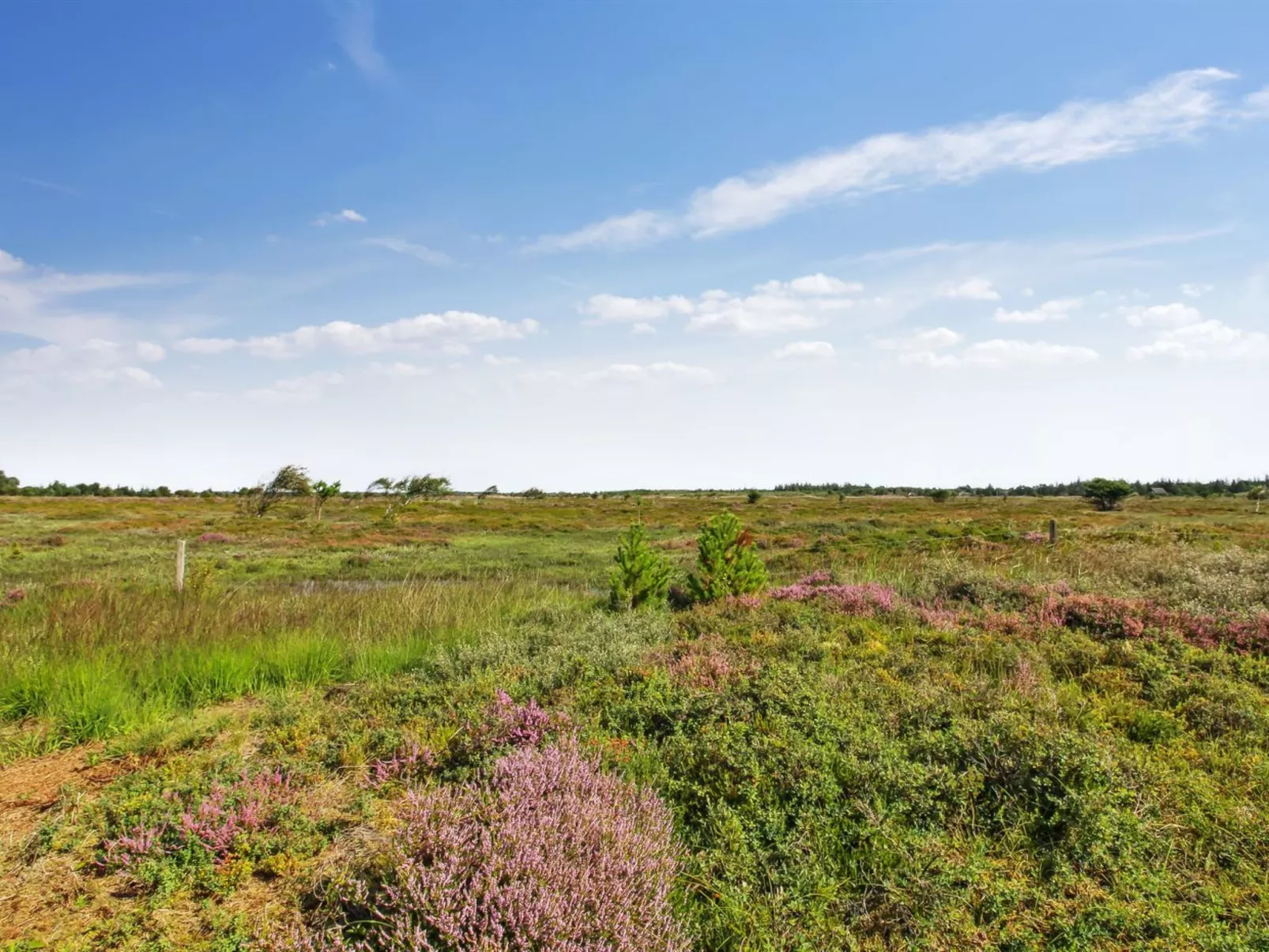 "Golubinka" - 2.5km from the sea-Outside