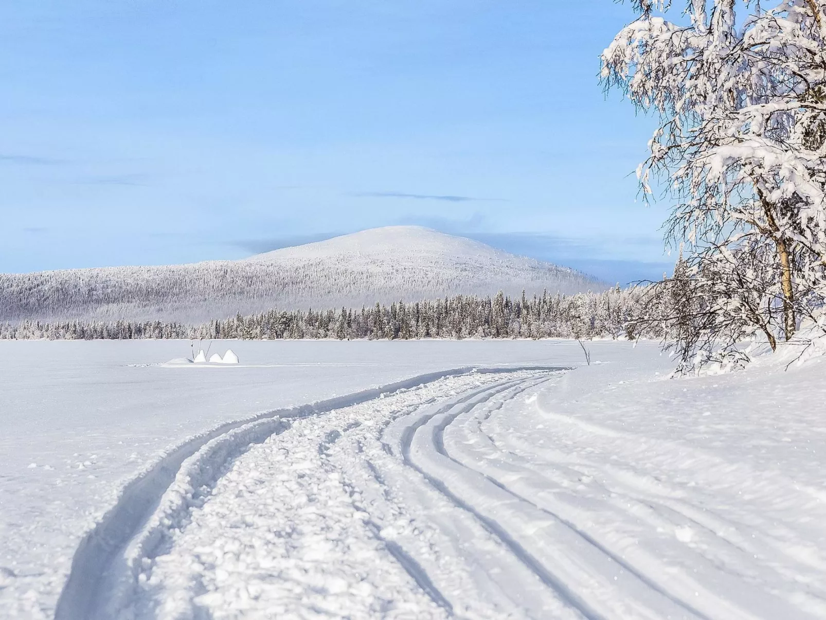 Lappi dream house-Inside