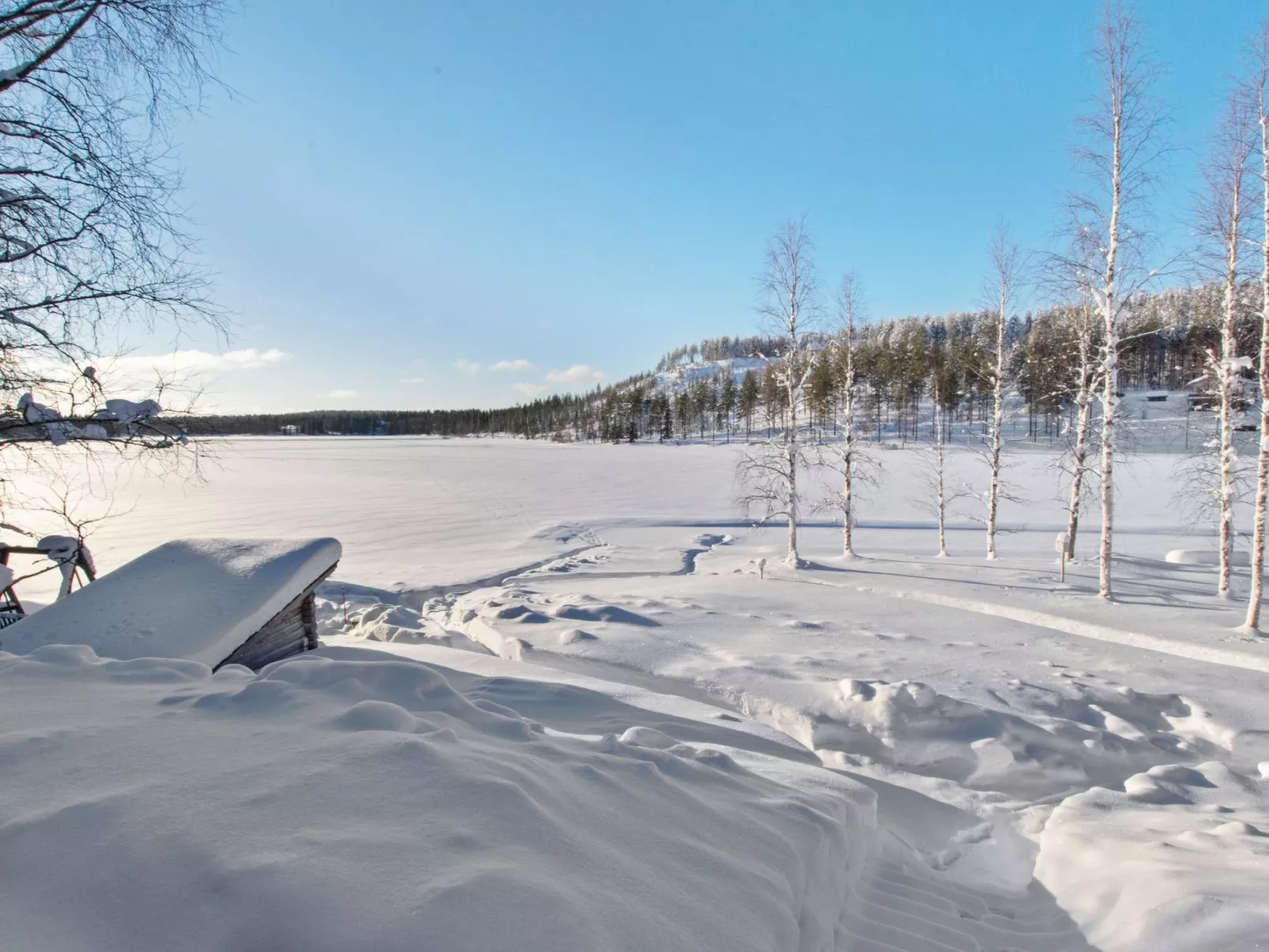 Hallantytär b3 paritalo-Inside