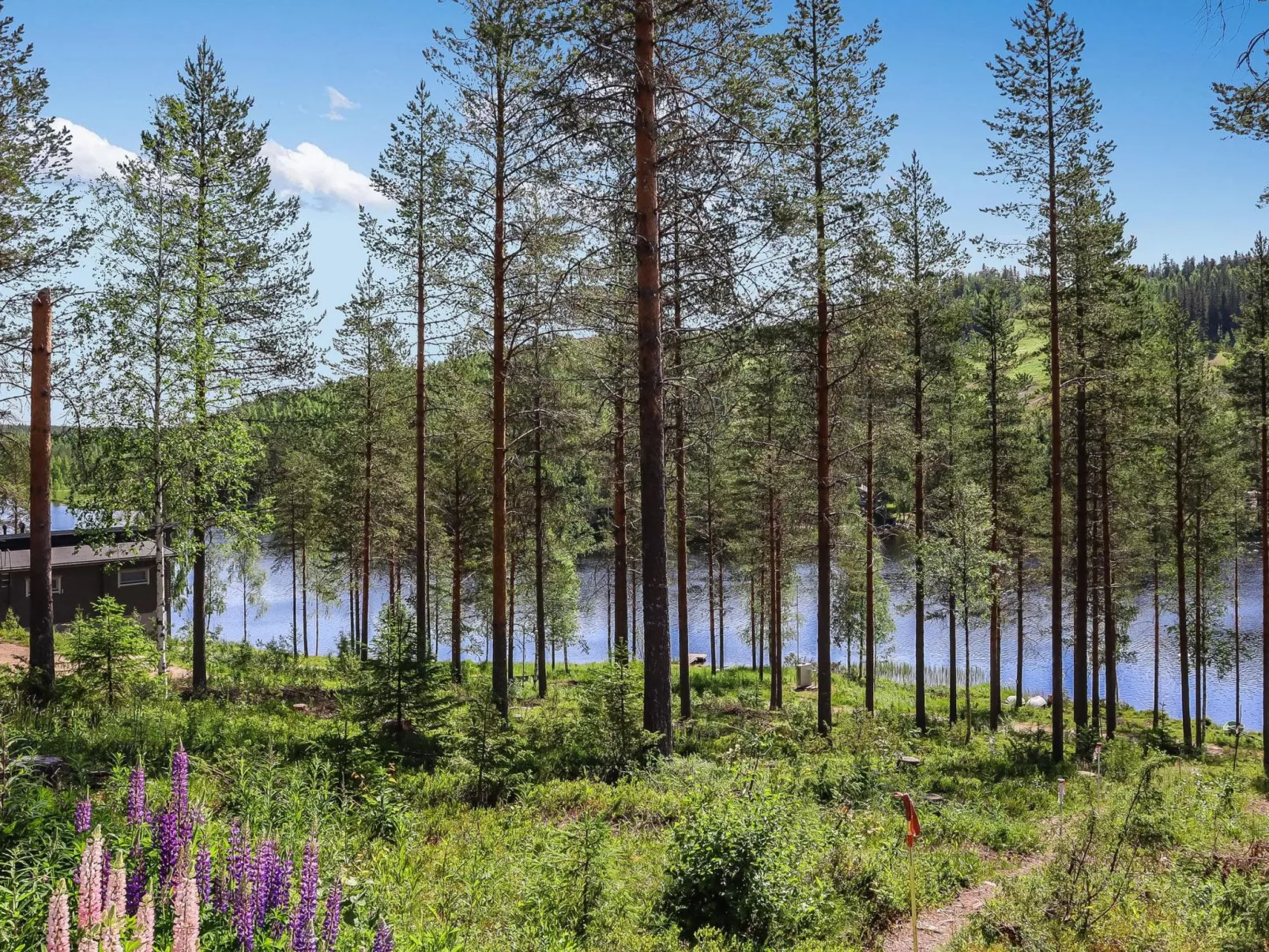 Tunturimaja 2 mökki-Dedans