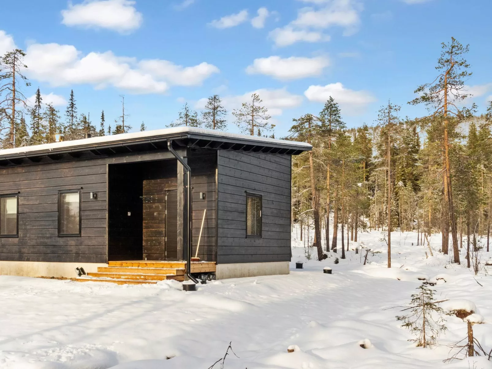 Sallan kuukkeli-Dedans