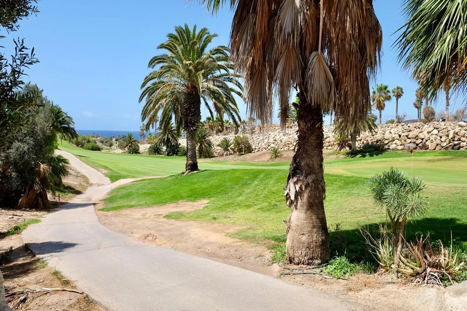 Casa Amarilla Golf-Areas within 1km in summer
